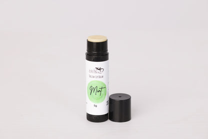 Mint tallow lip balm
