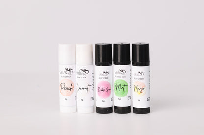 Five tallow lip balms: peach, coconut, bubblegum, mint and mango